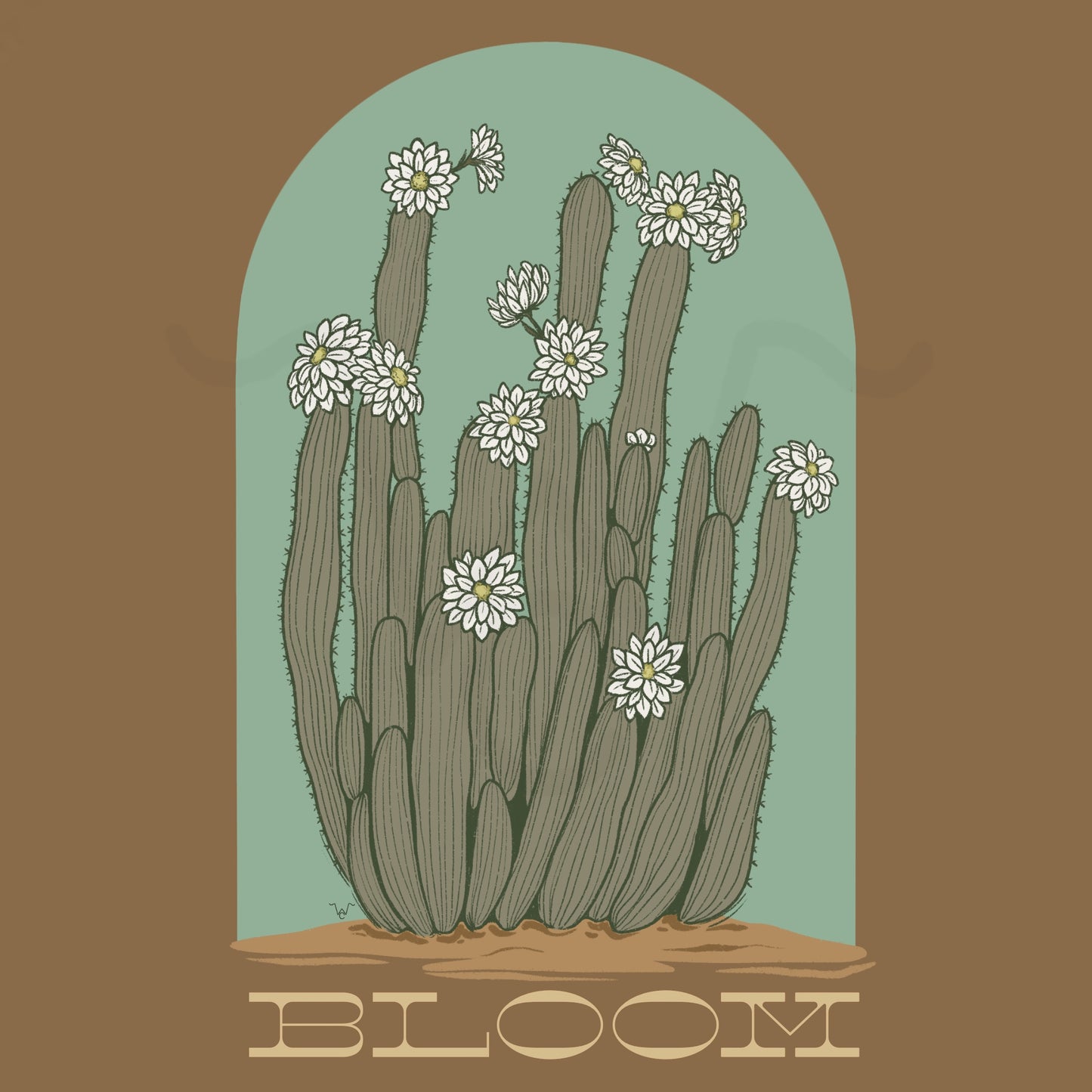 Bloom Design