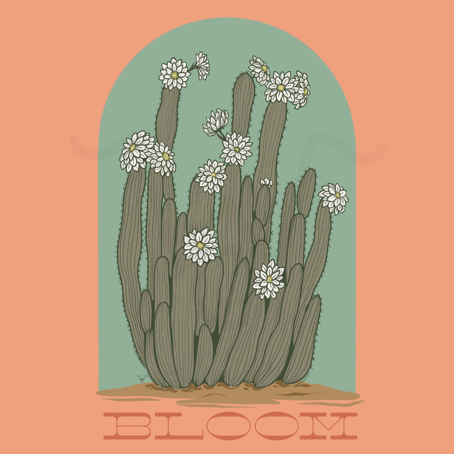 Bloom Design