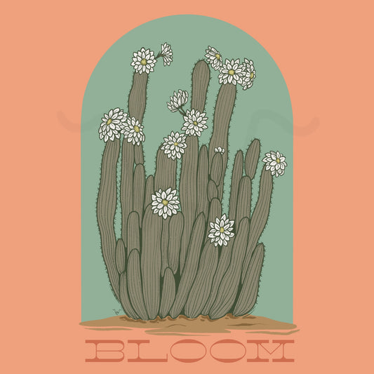 Bloom Design